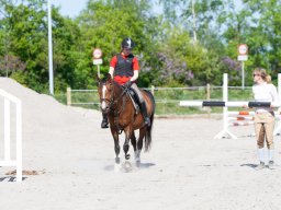 IMG_0467_web